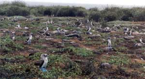 Click for enlarged photo