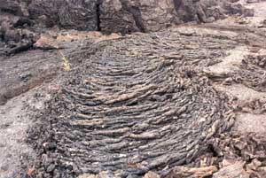 Click for enlarged photo