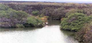 Click for enlarged photo