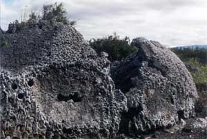 Click for enlarged photo