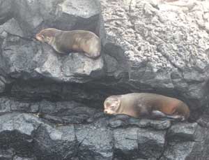 Click for enlarged photo