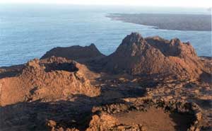 Click for enlarged photo