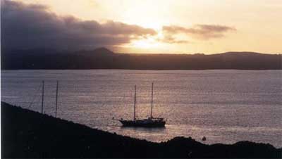 Click for enlarged photo